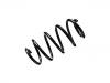 Coil Spring:1K0 411 105 DT