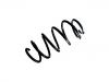 Muelle de chasis Coil Spring:1K0 411 105 FH