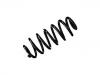 Coil Spring:8P0 511 115 R