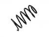 Coil Spring:60668186