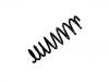 Muelle de chasis Coil Spring:50707149