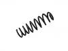 Fahrwerksfeder Coil Spring:50707717