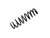 Fahrwerksfeder Coil Spring:50705382