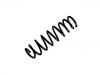 Fahrwerksfeder Coil Spring:50705383