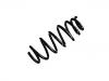 Muelle de chasis Coil Spring:50706963