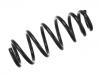 Fahrwerksfeder Coil Spring:50706965