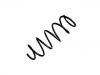 Fahrwerksfeder Coil Spring:50520145