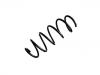 Fahrwerksfeder Coil Spring:50520149