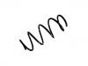 Fahrwerksfeder Coil Spring:50516633