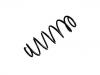 Coil Spring:50520151