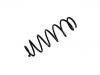 Fahrwerksfeder Coil Spring:50520152