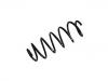 Muelle de chasis Coil Spring:50518812