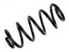 Coil Spring:8E0 411 105 DJ