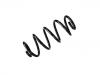 Coil Spring:8K0 411 105 DE