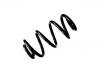 Muelle de chasis Coil Spring:8K0 411 105 EE