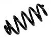 Muelle de chasis Coil Spring:4F0 511 115 BP