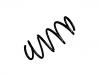 Coil Spring:31 33 6 787 138