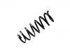 Fahrwerksfeder Coil Spring:33 53 6 787 208