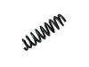 Fahrwerksfeder Coil Spring:33 53 6 790 131