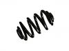 Fahrwerksfeder Coil Spring:33 53 3 413 182