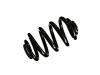 Fahrwerksfeder Coil Spring:33 53 3 413 185