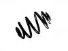 Fahrwerksfeder Coil Spring:33 53 6 785 087