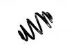 Muelle de chasis Coil Spring:33 53 6 785 088