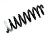 Muelle de chasis Coil Spring:55350-3Z010