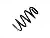 Fahrwerksfeder Coil Spring:639 321 17 04