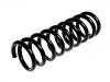 Muelle de chasis Coil Spring:REB500050
